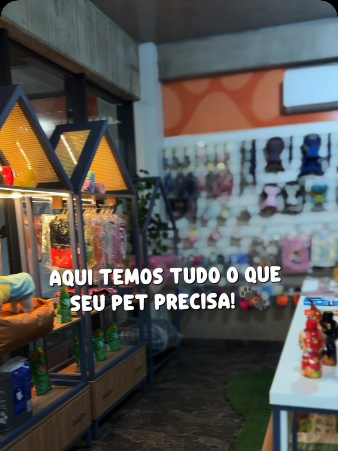 Vitrine do pet shop da Amor e Patas com acessórios e produtos para pets